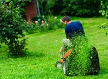Kwikfynd Lawn Mowing
mackayharbour