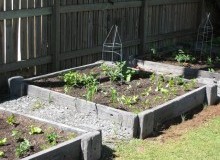 Kwikfynd Organic Gardening
mackayharbour