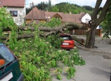 Kwikfynd Tree Cutting Services
mackayharbour