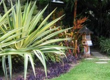 Kwikfynd Tropical Landscaping
mackayharbour